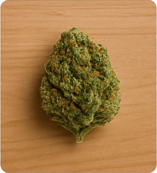 small bud cbd